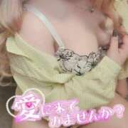 ヒメ日記 2025/02/09 16:29 投稿 やよい セクシーキャット 小田原店