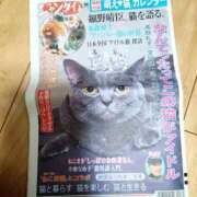 ヒメ日記 2025/03/10 21:32 投稿 清華はるみ アラフォーna奥様 アラフィフna奥様（埼玉ハレ系）