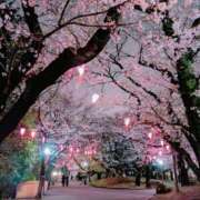 ヒメ日記 2025/04/02 22:03 投稿 清華はるみ アラフォーna奥様 アラフィフna奥様（埼玉ハレ系）