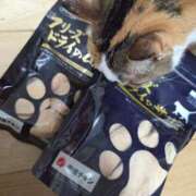 ヒメ日記 2026/03/18 21:53 投稿 清華はるみ アラフォーna奥様 アラフィフna奥様（埼玉ハレ系）