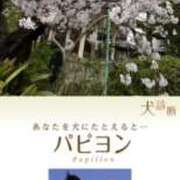 ヒメ日記 2025/04/10 11:06 投稿 あい One More奥様　横浜関内店