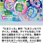 ヒメ日記 2025/05/21 23:11 投稿 あい One More奥様　横浜関内店