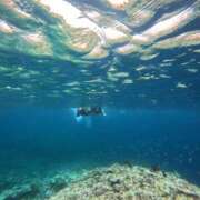 ヒメ日記 2025/06/14 12:08 投稿 あい One More奥様　横浜関内店