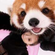 ヒメ日記 2025/11/11 14:53 投稿 あい One More奥様　横浜関内店