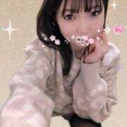 ヒメ日記 2025/11/15 12:44 投稿 あい One More奥様　横浜関内店