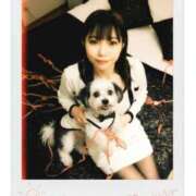 ヒメ日記 2025/11/22 15:50 投稿 あい One More奥様　横浜関内店