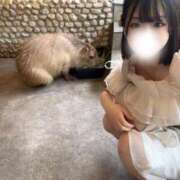 ヒメ日記 2025/06/30 14:16 投稿 つきの エデンR