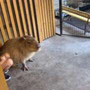 ヒメ日記 2025/07/01 21:21 投稿 つきの エデンR