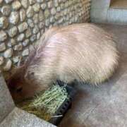 ヒメ日記 2025/07/14 09:04 投稿 つきの エデンR