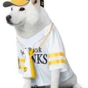 ヒメ日記 2025/09/25 22:49 投稿 ひかり 待ちナビ