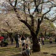 ヒメ日記 2026/03/30 14:16 投稿 ユナ エピソード(品川)