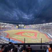 ヒメ日記 2025/06/05 05:40 投稿 木村すずか ウルトラセレクション