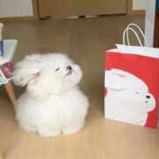 ヒメ日記 2025/07/23 16:10 投稿 木村すずか ウルトラセレクション