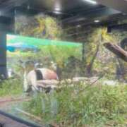 ヒメ日記 2025/09/01 22:20 投稿 木村すずか ウルトラセレクション