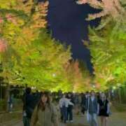 ヒメ日記 2025/11/11 20:20 投稿 木村すずか ウルトラセレクション