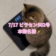 ヒメ日記 2026/07/21 20:20 投稿 木村すずか ウルトラセレクション