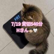 ヒメ日記 2026/07/23 12:20 投稿 木村すずか ウルトラセレクション