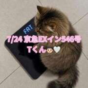 ヒメ日記 2026/07/27 06:20 投稿 木村すずか ウルトラセレクション