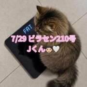 ヒメ日記 2026/08/03 18:21 投稿 木村すずか ウルトラセレクション