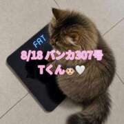 ヒメ日記 2026/08/22 07:20 投稿 木村すずか ウルトラセレクション
