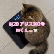 ヒメ日記 2026/08/22 20:50 投稿 木村すずか ウルトラセレクション