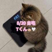 ヒメ日記 2026/08/22 21:30 投稿 木村すずか ウルトラセレクション