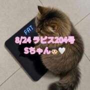 ヒメ日記 2026/08/27 19:00 投稿 木村すずか ウルトラセレクション
