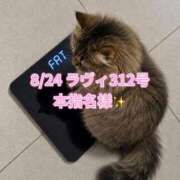 ヒメ日記 2026/08/28 09:20 投稿 木村すずか ウルトラセレクション