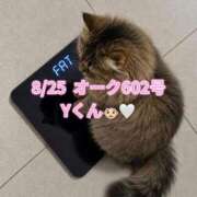ヒメ日記 2026/08/28 12:22 投稿 木村すずか ウルトラセレクション