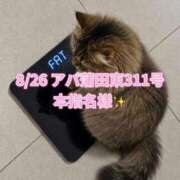 ヒメ日記 2026/09/01 20:30 投稿 木村すずか ウルトラセレクション