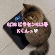 ヒメ日記 2026/09/02 18:50 投稿 木村すずか ウルトラセレクション