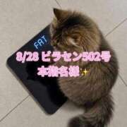 ヒメ日記 2026/09/02 19:50 投稿 木村すずか ウルトラセレクション