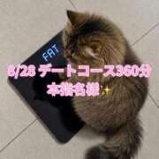 ヒメ日記 2026/09/02 21:50 投稿 木村すずか ウルトラセレクション