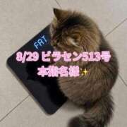 ヒメ日記 2026/09/02 22:50 投稿 木村すずか ウルトラセレクション
