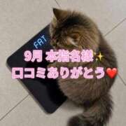 ヒメ日記 2026/10/04 18:30 投稿 木村すずか ウルトラセレクション