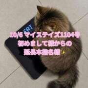 ヒメ日記 2026/10/07 18:10 投稿 木村すずか ウルトラセレクション