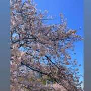 ヒメ日記 2025/04/16 02:33 投稿 ちい『ぽっちゃりコース』 素人学園＠