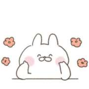 ヒメ日記 2025/04/17 03:33 投稿 ちい『ぽっちゃりコース』 素人学園＠