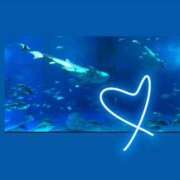 ヒメ日記 2025/08/31 22:03 投稿 ちい『ぽっちゃりコース』 素人学園＠