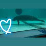 ヒメ日記 2025/09/25 00:03 投稿 ちい『ぽっちゃりコース』 素人学園＠