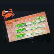 ヒメ日記 2025/10/15 21:06 投稿 ちい『ぽっちゃりコース』 素人学園＠