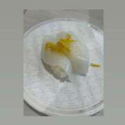 ヒメ日記 2025/11/14 23:48 投稿 ちい『ぽっちゃりコース』 素人学園＠