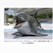 ヒメ日記 2025/12/02 20:03 投稿 ちい『ぽっちゃりコース』 素人学園＠