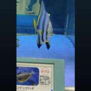 ヒメ日記 2026/01/05 23:18 投稿 ちい『ぽっちゃりコース』 素人学園＠