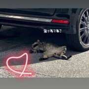 ヒメ日記 2026/02/22 22:48 投稿 ちい『ぽっちゃりコース』 素人学園＠