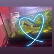 ヒメ日記 2026/02/23 22:48 投稿 ちい『ぽっちゃりコース』 素人学園＠