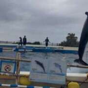 ヒメ日記 2026/04/11 21:48 投稿 ちい『ぽっちゃりコース』 素人学園＠