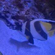 ヒメ日記 2026/04/16 22:18 投稿 ちい『ぽっちゃりコース』 素人学園＠