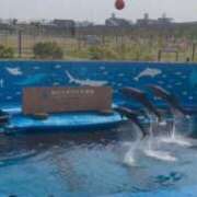 ヒメ日記 2026/04/20 21:48 投稿 ちい『ぽっちゃりコース』 素人学園＠