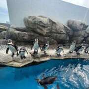 ヒメ日記 2026/04/22 18:57 投稿 ちい『ぽっちゃりコース』 素人学園＠